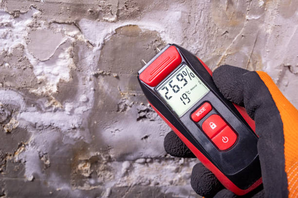 Best Mold Cleaning Services  in Three Forks, MT